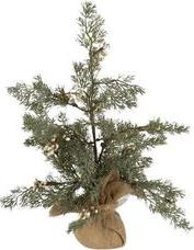 ΔΕΝΤΡΑΚΙ ΜΕ ΛΕΥΚΑ BERRIES 45CM 600-46371 EUROLAMP