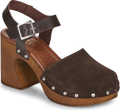 ΤΣΟΚΑΡΑ ANEMONE FERICELLI