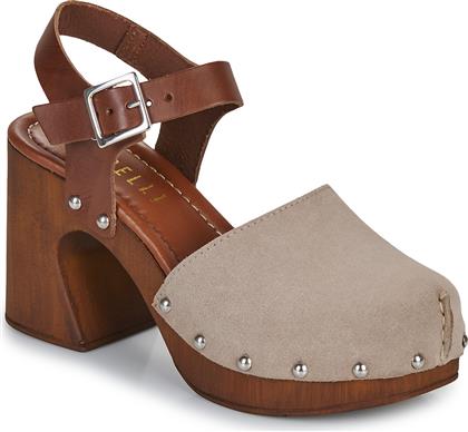 ΤΣΟΚΑΡΑ ANEMONE FERICELLI