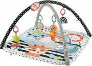 FISHER-PRICE 3-1 MUSIC, GLOW & GROW GYM FISHER PRICE