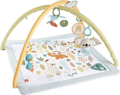 ΓΥΜΝΑΣΤΗΡΙΟ - ΟΙ ΠΡΩΤΕΣ ΤΟΥ ΑΙΣΘΗΣΕΙΣ HRB15 FISHER PRICE