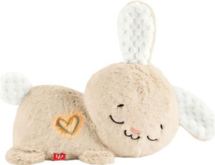 ΚΟΥΝΕΛΑΚΙ SOOTHE & SETTLE (HXG97) FISHER PRICE