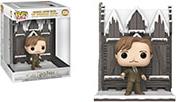 DELUXE: HARRY POTTER CHAMBER OF SECRETS - REMUS LUPIN WITH THE SHRIEKING SHACK #156 FUNKO POP από το e-SHOP