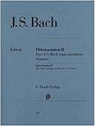 JOHANN SEBASTIAN BACH - FLUTE SONATAS VOLUME II / ΕΚΔΟΣΕΙΣ HENLE VERLAG G HENLE VERLAG