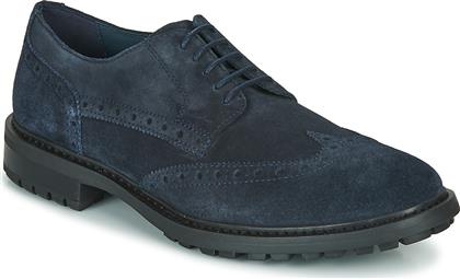 DERBIES U BRENSON D GEOX