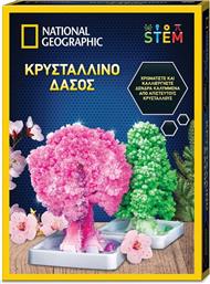 NATIONAL GEOGRAPHIC ΚΡΥΣΤΑΛΛΙΝΟ ΔΑΣΟΣ (NAT00000) GIOCHI PREZIOSI