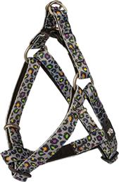 ΣΑΜΑΡΑΚΙ PLATINUM ΤΥΠΟΥ A INDY LEO (XSMALL 41-51CM) GLEE