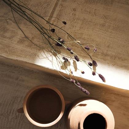 ΑΠΟΞΗΡΑΜΕΝΑ ΔΙΑΚΟΣΜΗΤΙΚΑ ΚΛΑΔΙΑ 50ΕΚ. LILAC 122 GOFIS HOME