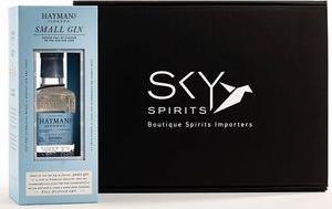 GIN HAYMAN'S LONDON DRY SMALL 200 ML HAYMANS από το PLUS4U