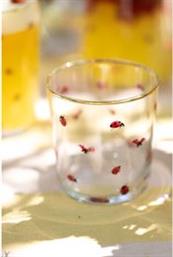 ΣΕΤ ΠΟΤΗΡΙΑ 4 ΤΕΜ. HERMIA KITCHEN