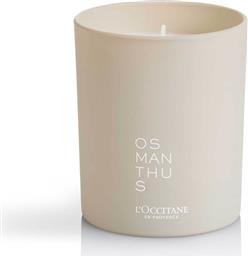 OSMANTHUS CANDLE 180 GR - 5111008 LOCCITANE