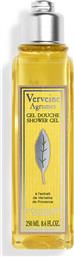 VERBENA CITRUS SHOWER GEL 250 ML - 5110526 LOCCITANE