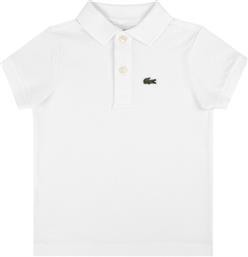 POLO LACOSTE