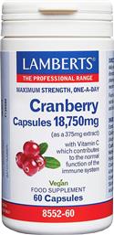 CRANBERRY 18,750MG ΣΥΜΠΛΗΡΩΜΑ ΔΙΑΤΡΟΦΗΣ ΜΕ ΕΚΧΥΛΙΣΜΑ ΚΡΑΝΜΠΕΡΙ & ΒΙΤΑΜΙΝΗ C ΓΙΑ ΤΗΝ ΚΑΛΗ ΛΕΙΤΟΥΡΓΙΑ ΤΟΥ ΟΥΡΟΠΟΙΗΤΙΚΟΥ & ΕΝΙΣΧΥΣΗ ΤΟΥ ΑΝΟΣΟΠΟΙΗΤΙΚΟΥ 60CAPS LAMBERTS