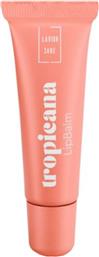 TROPICANA LIP BALM ΕΝΥΔΑΤΙΚΟ ΒΑΛΣΑΜΟ ΧΕΙΛΙΩΝ ΜΕ ΤΡΟΠΙΚΑΝΑ ΓΙΑ ΠΛΟΥΣΙΑ ΠΡΟΣΤΑΣΙΑ & ΦΡΟΝΤΙΔΑ 10ML LAVISH CARE