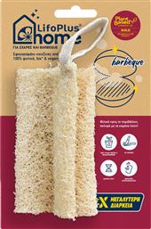 HOME KITCHEN BIO LOOFAH SPONGE FOR GRILL GRATES & BARBEQUES ΒΙΟΔΙΑΣΠΩΜΕΝΟ ΣΦΟΥΓΓΑΡΑΚΙ ΚΟΥΖΙΝΑΣ ΑΠΟ ΛΟΥΦΑ ΓΙΑ ΣΧΑΡΕΣ & ΜΠΑΡΜΠΕΚΙΟΥ 1 ΤΕΜΑΧΙΟ LIFOPLUS