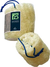 LOOFAH NATURAL SMALL ΦΥΣΙΚΗ ΑΚΑΤΕΡΓΑΣΤΗ ΛΟΥΦΑ ΜΕ ΚΟΡΔΟΝΙ ΜΙΚΡΟΥ ΜΕΓΕΘΟΥΣ 1 ΤΕΜΑΧΙΟ LIFOPLUS