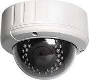 130877-TBQ 5MP POE IP66 DOM IP CAMERA LOOSAFE