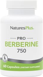 PRO BERBERINE 750MG ΣΥΜΠΛΗΡΩΜΑ ΔΙΑΤΡΟΦΗΣ ΦΥΤΙΚΗΣ ΒΕΡΒΕΡΙΝΗΣ ΓΙΑ ΥΓΙΗ ΕΠΙΠΕΔΑ ΣΑΚΧΑΡΟΥ ΣΤΟ ΑΙΜΑ, ΥΠΟΣΤΗΡΙΞΗ ΤΟΥ ΚΑΡΔΙΑΓΓΕΙΑΚΟΥ ΣΥΣΤΗΜΑΤΟΣ & ΜΕΤΑΒΟΛΙΣΜΟ ΛΙΠΟΥΣ 60CAPS NATURES PLUS