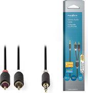 CABW22200AT10 STEREO AUDIO CABLE 3.5 MM MALE - 2X RCA MALE 1.0 M ANTHRACITE NEDIS