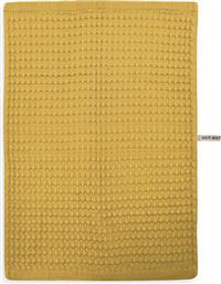 ΠΟΤΗΡΟΠΑΝΟ ΠΙΚΕ (45X68) NEF-NEF HOMEWARE MAIN CELERY NEF NEF