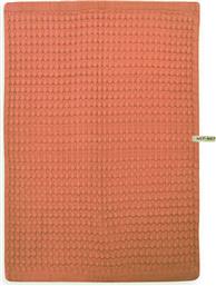 ΠΟΤΗΡΟΠΑΝΟ ΠΙΚΕ (45X68) NEF-NEF HOMEWARE MAIN CORAL NEF NEF