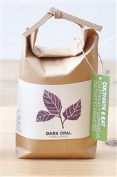 ΣΕΤ ΓΙΑ ΤΗΝ ΚΑΛΛΙΕΡΓΕΙΑ ΕΝΟΣ ΦΥΤΟΥ CULTIVATE & EAT- DARK OPAL PURPLE BASIL NOTED