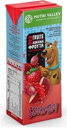 ΧΥΜΟΣ RED FRUITS SCOOBY DOO (250 ML) NUTRI VALLEY