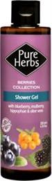 SHOWER GEL 200ML PURE HERBS OLIVE FRUITS