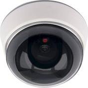 DC300 DOME CAMERA DUMMY OLYMPIA