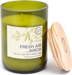 ΑΡΩΜΑΤΙΚΟ ΚΕΡΙ ΣΟΓΙΑΣ FRESH AIR & BIRCH 226 G PADDYWAX