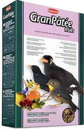 ΤΡΟΦΗ GRANPATEE FRUITS ΕΝΤΟΜΟΦΑΓΑ (1KG) PADOVAN