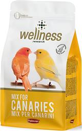 ΤΡΟΦΗ WELLNESS CANARIES ΓΙΑ ΚΑΝΑΡΙΝΙΑ (1KG) PADOVAN