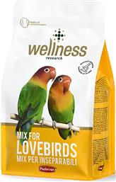 ΤΡΟΦΗ WELLNESS LOVEBIRDS (850GR) PADOVAN