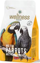 ΤΡΟΦΗ WELLNESS PARROTS (2,5KG) PADOVAN