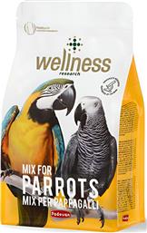 ΤΡΟΦΗ WELLNESS PARROTS (750GR) PADOVAN