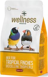 ΤΡΟΦΗ WELLNESS TROPICAL (1KG) PADOVAN