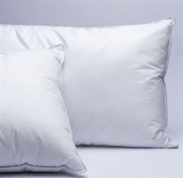 ΖΕΥΓΟΣ ΜΑΞΙΛΑΡΙΑ REVE COMFORT WHITE (50X70CM) PALAMAIKI