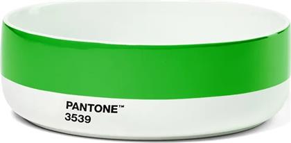 ΓΑΒΑΘΑ 5 X 14,5 CM ΧΡΩΜΑ: ΠΡΑΣΙΝΟ PANTONE