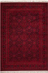 ΧΑΛΙ (195X290) VIENNA HY10 BORDO PIERRE CARDIN