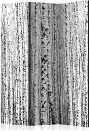 ΔΙΑΧΩΡΙΣΤΙΚΟ ΜΕ 3 ΤΜΗΜΑΤΑ - BIRCH FOREST [ROOM DIVIDERS] POLIHOME από το POLIHOME