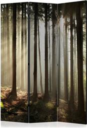 ΔΙΑΧΩΡΙΣΤΙΚΟ ΜΕ 3 ΤΜΗΜΑΤΑ - CONIFEROUS FOREST [ROOM DIVIDERS] POLIHOME