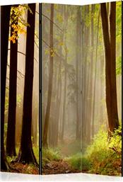 ΔΙΑΧΩΡΙΣΤΙΚΟ ΜΕ 3 ΤΜΗΜΑΤΑ - MYSTERIOUS FOREST PATH [ROOM DIVIDERS] POLIHOME