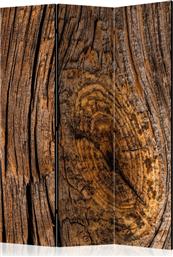 ΔΙΑΧΩΡΙΣΤΙΚΟ ΜΕ 3 ΤΜΗΜΑΤΑ - OLD TREE [ROOM DIVIDERS] POLIHOME από το POLIHOME