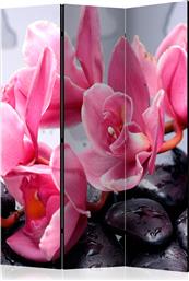 ΔΙΑΧΩΡΙΣΤΙΚΟ ΜΕ 3 ΤΜΗΜΑΤΑ - ORCHID FLOWERS WITH ZEN STONES [ROOM DIVIDERS] POLIHOME