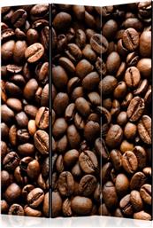 ΔΙΑΧΩΡΙΣΤΙΚΟ ΜΕ 3 ΤΜΗΜΑΤΑ - ROASTED COFFEE BEANS [ROOM DIVIDERS] POLIHOME