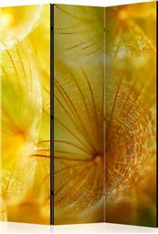 ΔΙΑΧΩΡΙΣΤΙΚΟ ΜΕ 3 ΤΜΗΜΑΤΑ - SOFT DANDELION FLOWER [ROOM DIVIDERS] POLIHOME από το POLIHOME
