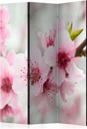 ΔΙΑΧΩΡΙΣΤΙΚΟ ΜΕ 3 ΤΜΗΜΑΤΑ - SPRING, BLOOMING TREE - PINK FLOWERS [ROOM DIVIDERS] POLIHOME από το POLIHOME