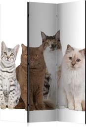 ΔΙΑΧΩΡΙΣΤΙΚΟ ΜΕ 3 ΤΜΗΜΑΤΑ - SWEET CATS [ROOM DIVIDERS] 135X172 POLIHOME από το POLIHOME