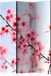ΔΙΑΧΩΡΙΣΤΙΚΟ ΜΕ 3 ΤΜΗΜΑΤΑ - SYMBOL OF JAPAN - SAKURA FLOWERS [ROOM DIVIDERS] POLIHOME από το POLIHOME